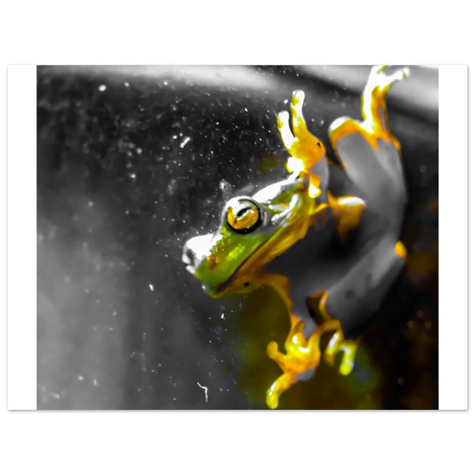 e2c2794b-9812-4c7c-ab31-a4c4e7a7c24f